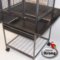 STRONG Villa Minerva, Silvertone Grey STRONG Villa Minerva, Silvertone Grey