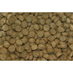 Bestia Krokant brok (Extruded Adult) 15Kg