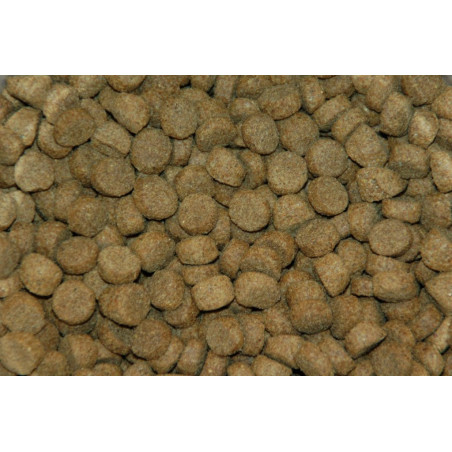 Bestia Krokant brok (Extruded Adult) 15Kg
