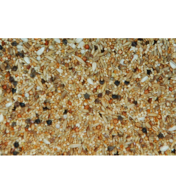 Agaporniden met grote en kleine zaden 20 KG