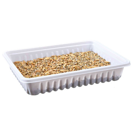 Knaagdiergras 100Gr