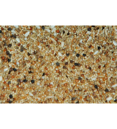 Agaporniden met grote en kleine zaden 2.0 KG