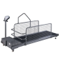 Topmast Loopband voor Honden - C300W Topmast Loopband voor Honden - C300W