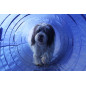 Topmast Agility Tunnel - 5 Meter