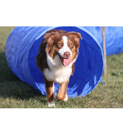 Topmast Agility Tunnel - 5 Meter