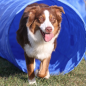 Topmast Agility Tunnel - 5 Meter