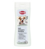 Anti-Roos Shampoo 250ml