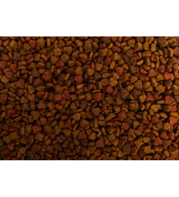 Budget 3-mix Kat O’Nelli 10Kilo