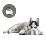RVS Voerbak Anti Slip 17 cm Extra hoog. Voor Honden met Lange Oren.