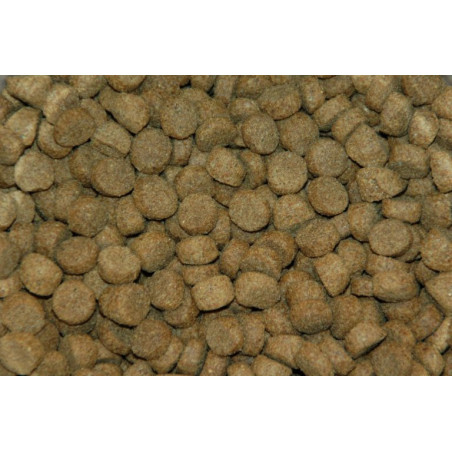 Krokant brok (Extruded Adult) 2.5KG