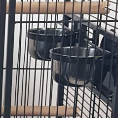 STRONG Villa Nora, M