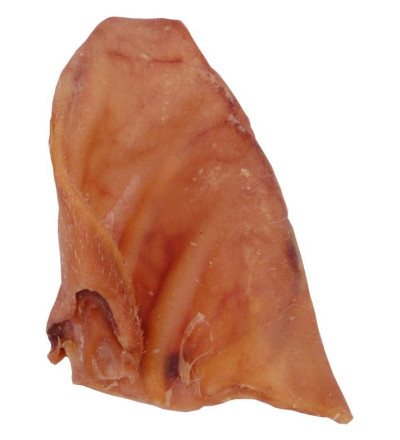 Varkens oor 45gr gemiddeld