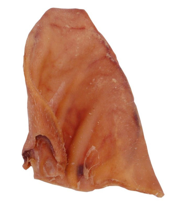 Varkens oor 45gr gemiddeld