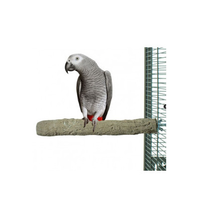 Slijtstok Papegaai 25cm
