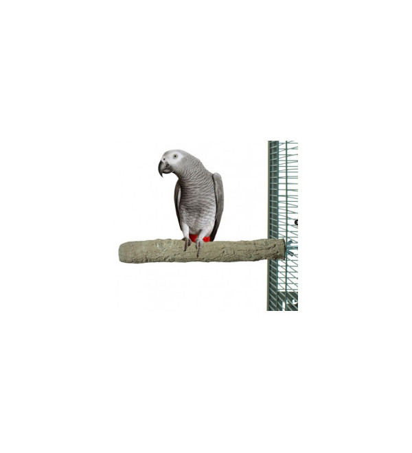 Slijtstok Papegaai 20cm