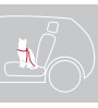Auto-Tuig voor katten