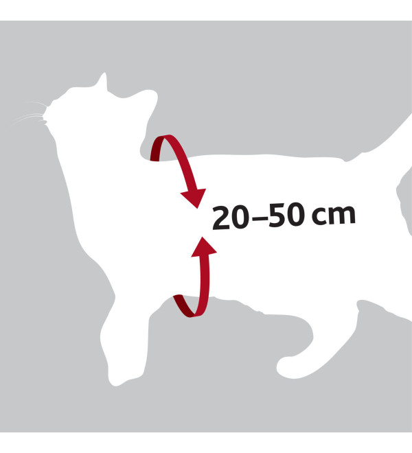 Auto-Tuig voor katten