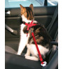 Auto-Tuig voor katten