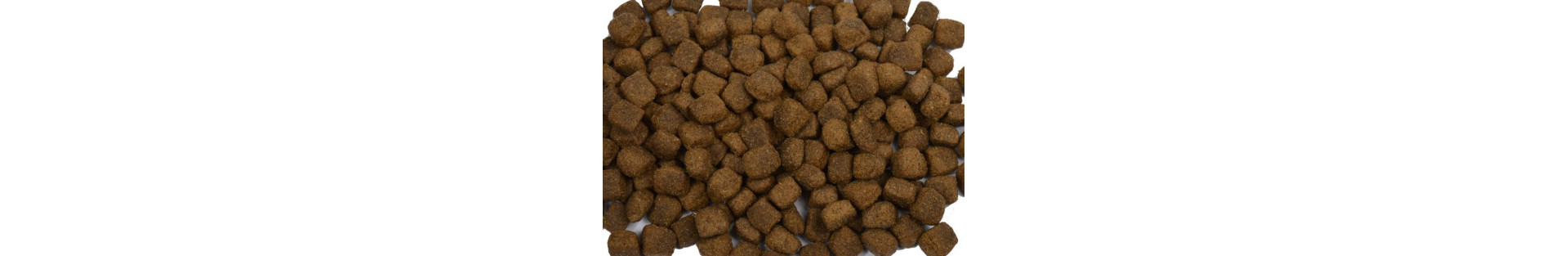 Honden voer/diner/Snack